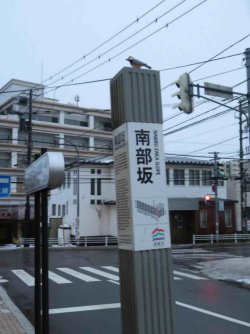 jpeg-optimizer_IMG_0385.JPG