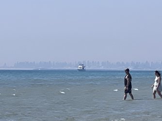IMG_8400.jpeg