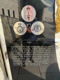 IMG_0766.jpeg