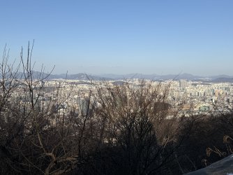 IMG_0812.jpeg
