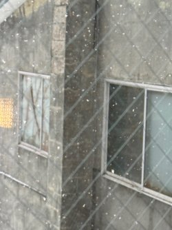 IMG_0951.jpeg