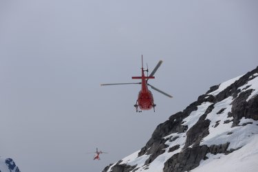 IMG_0919.jpeg