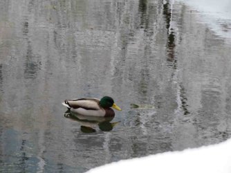 jpeg-optimizer_IMG_0534.JPG