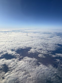 IMG_1435.jpeg