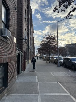 IMG_9257.jpeg