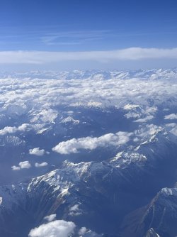 IMG_7723.jpeg