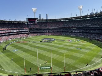 IMG_6950.jpeg