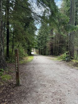 IMG_0506.jpeg