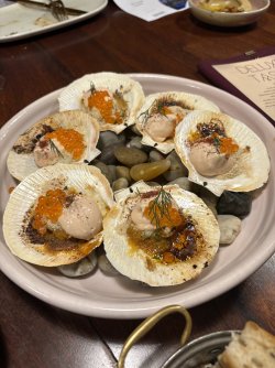 IMG_1789.jpeg