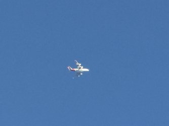 IMG_3585.jpeg