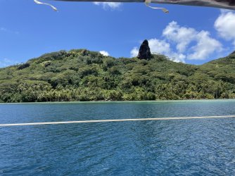 IMG_7297.jpeg