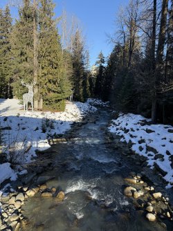 IMG_1366.jpeg