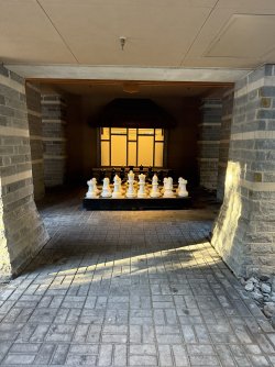 IMG_1373.jpeg
