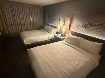 IMG_1429.jpeg