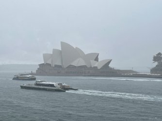 IMG_7719.jpeg