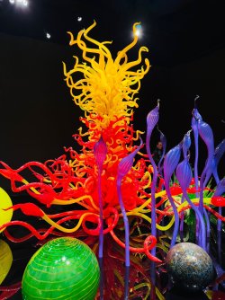 f122181e-21f0-4d6c-8232-fd0cc2e8a5c3.jpeg