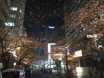 Sakura 4.jpg