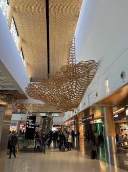 IMG_7287.jpeg