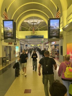 IMG_7302.jpeg