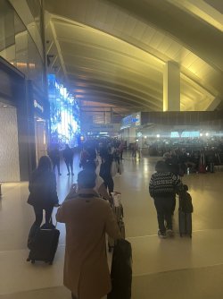 IMG_7322.jpeg