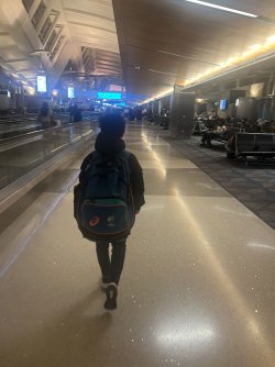 IMG_7324.jpeg