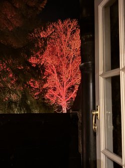 IMG_9741.jpeg