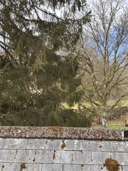 IMG_9779.jpeg