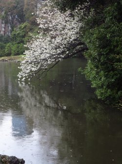 G 07.jpg