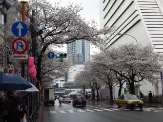N 08.jpg