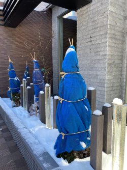 IMG_5170.jpg