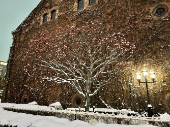 IMG_8145 - Copy.jpg