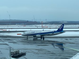 IMG_5241.jpg