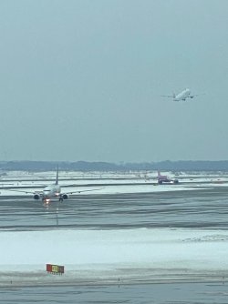 IMG_5247.jpg