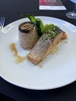 IMG_1895.jpeg