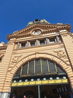 20250402_131923.jpg