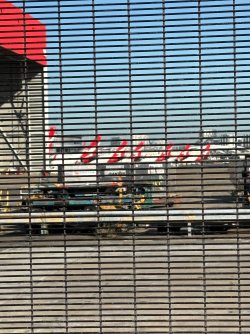 IMG_2077.jpeg
