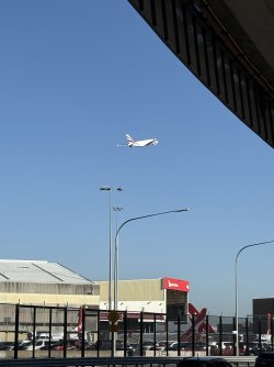 IMG_2078.jpeg