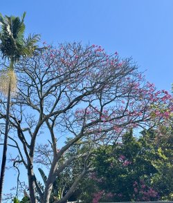 IMG_6072.jpeg