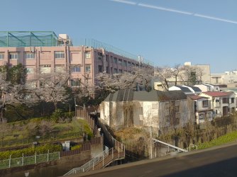 IMG_20250404_072901.jpg