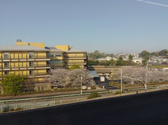 IMG_20250404_073056.jpg