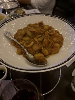 IMG_1929.jpeg