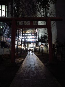 LN 09.jpg