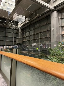 IMG_4434.jpeg