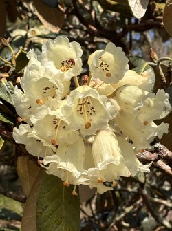 IMG_0092.jpeg