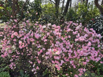 IMG_0060.jpeg