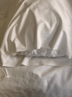 IMG_0133.jpeg