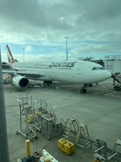 IMG_1701.jpeg