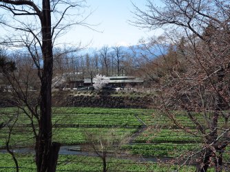 M 08.jpg