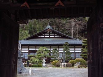 NT 04.jpg