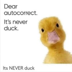 i-speak-fluent-sarcasm-memes-67ef80cd5ac62__700.jpg